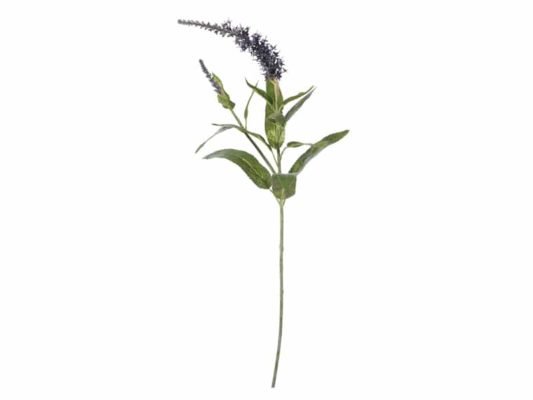 VERONICA CM68 LAVANDA-BRUCO
