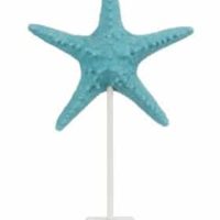 Stella Marina + Piede Resina/Legno Bianco/Blu Large | Jolipa