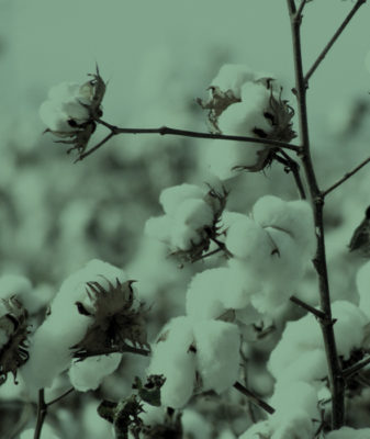 Diffusore bastoncini fragranza Cotone Canapa - immagine 2