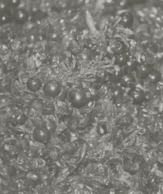 Spray da 100 ml per Ambiente Mosto Selvatico - immagine 2