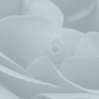 Ricarica 500 ml per diffusore White Cube Rosa Maritime - immagine 2