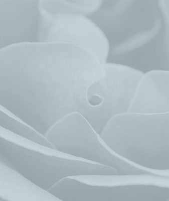 Diffusore bastoncini fragranza Rosa Maritime - immagine 2