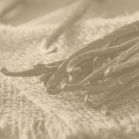 Listelli Profumati per Armadi e Cassetti Vanilla Pure - immagine 2
