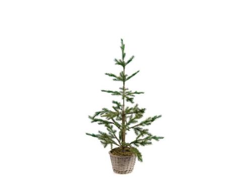 ABETE SHASTA C/VASO WILLOW H110-BRUCO
