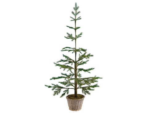 ABETE SHASTA C/VASO WILLOW H140-BRUCO