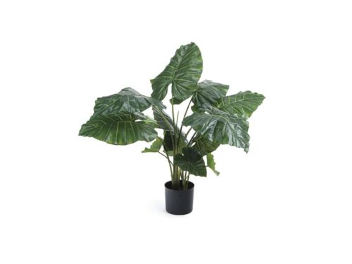 PIANTA PHILODENDRON REAL TOUCH CM120 VERDE-BRUCO
