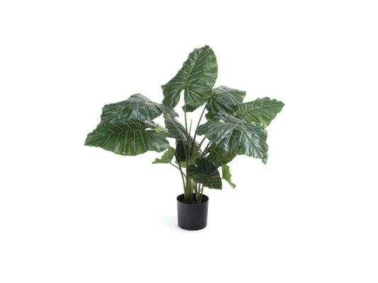 PIANTA PHILODENDRON REAL TOUCH CM120 VERDE-BRUCO