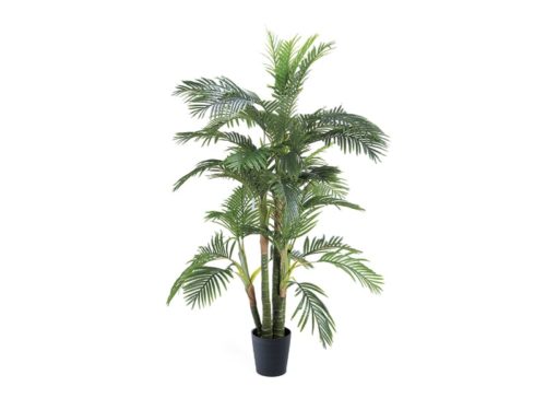 PIANTA ARECA REAL TOUCH CM210 VERDE-BRUCO
