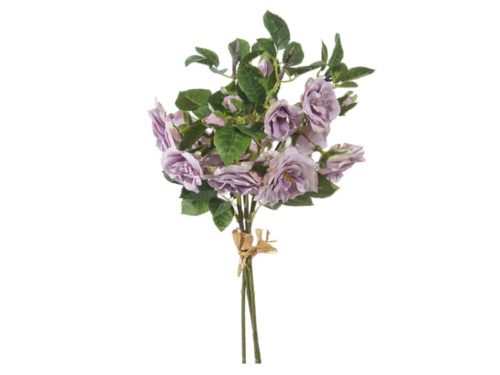 BUNDLE X3 ROSE VENERE CM36 LILLA-BRUCO
