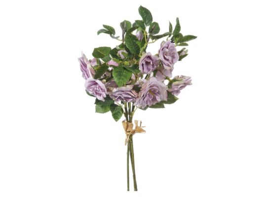 BUNDLE X3 ROSE VENERE CM36 LILLA-BRUCO