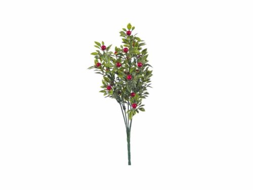 BUSH BACCHE X5 C/FOGLIE CM30 VERDE/ROSSO-BRUCO