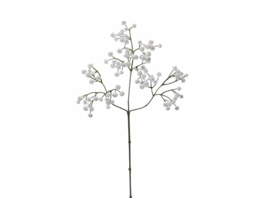 GYPSOPHILA REAL TOUCH