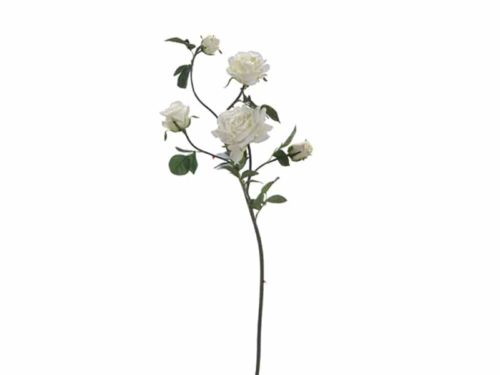 TRALCIO ROSE X5 CM90 TOUCH DELUXE BIANCO-BRUCO