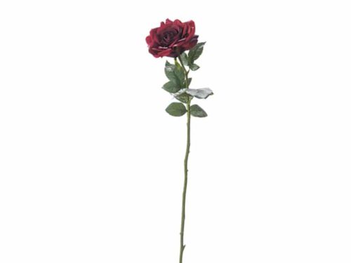 ROSA INGLESE CM70 TOUCH DELUXE ROSSO-BRUCO