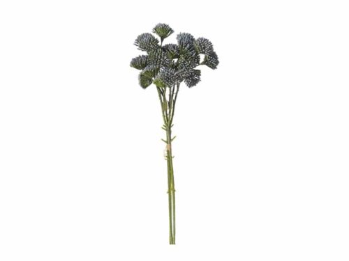 BUNDLE X3 ALLIUM CM43 BLU-BRUCO