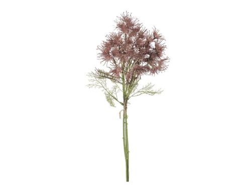 BUNDLE X3 DRY FLOWER-BRUCO