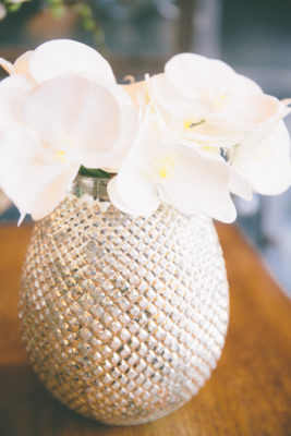 BUNDLE PHALAENOPSIS BIANCO - immagine 3