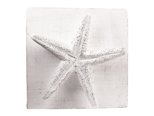 Placca Stella Marina Cornici Quadro bianco | Virginia Casa (Copia)