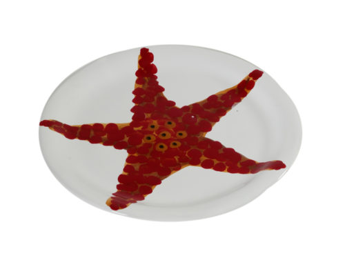 Piatto Insalata Stella Marina | Virginia Casa