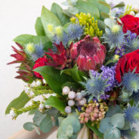 Abbonamento Bouquet Eringium. - immagine 2