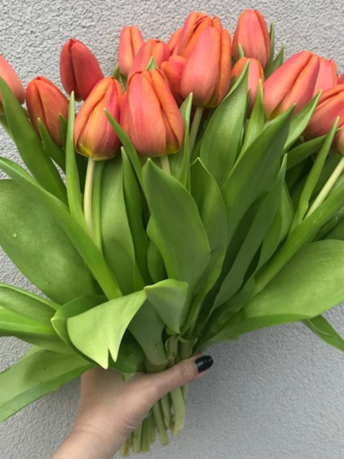 Bouquet di tulipani arancio