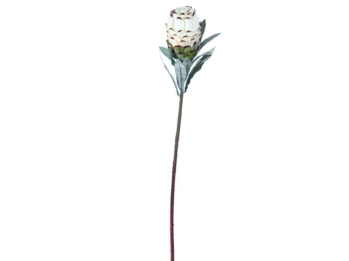 PROTEA CM73 BIANCO