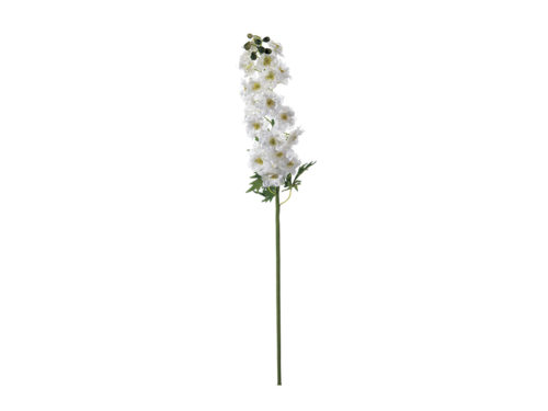 DELPHINIUM ROMANCE CM106 BIANCO