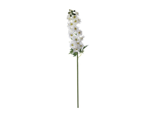 DELPHINIUM ROMANCE CM106 BIANCO