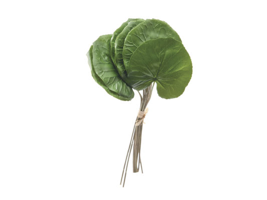 BUNDLE X12 FOGLIE DI LOTO VERDE