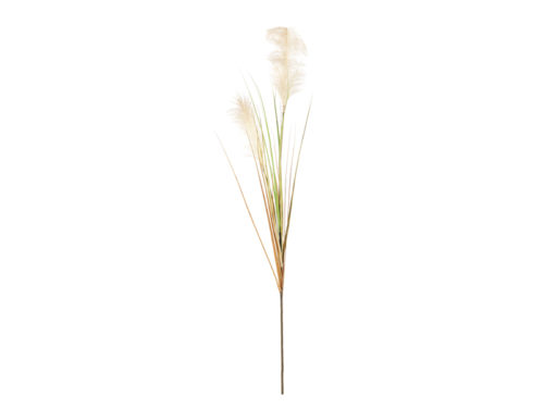 RAMO PAMPAS ARTIFICIALE C/GRASS CM138 NATURAL