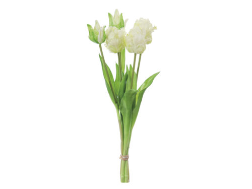 BUNDLE TULIPANI FRANCESI X5CM48 REAL TOUCH BEIGE