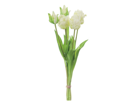 BUNDLE TULIPANI FRANCESI X5CM48 REAL TOUCH BEIGE