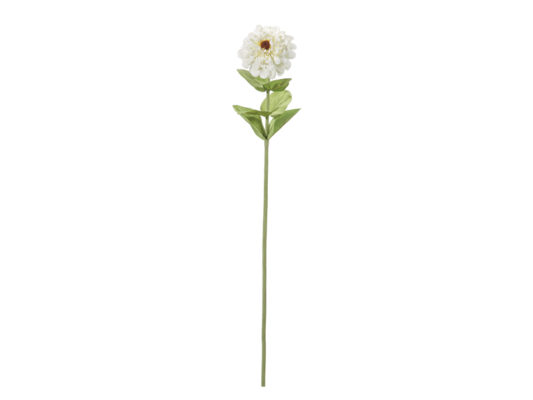 ZINNIA CM64 BIANCO