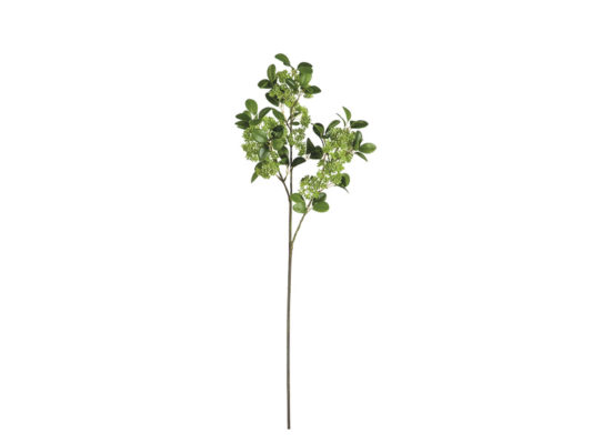 SPIREA BUMALDA CM85 BIANCO