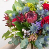 Abbonamento Bouquet Eringium.