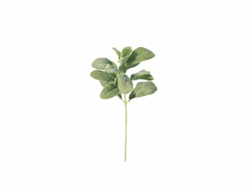 RAMO SALVIA FLOCCATA CM32 VERDE