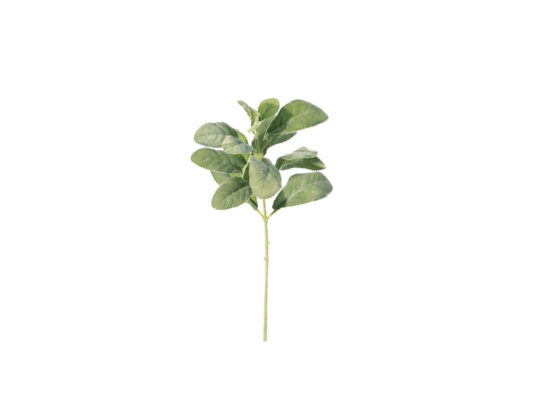RAMO SALVIA FLOCCATA CM32 VERDE