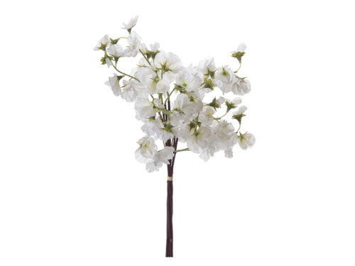 BUNDLE X6 FIORE PISELLO CM46 BIANCO