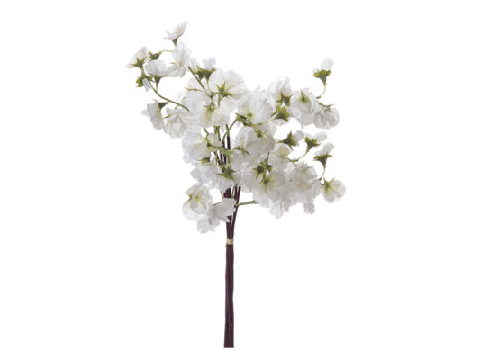 BUNDLE X6 FIORE PISELLO CM46 BIANCO