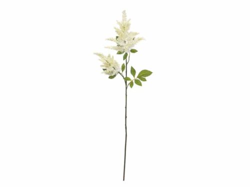 ASTILBE CM101 BIANCO