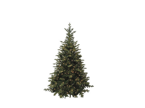 ABETE CANAZEI H240 EASY OPEN 550 LED/VERDE – BRUCO