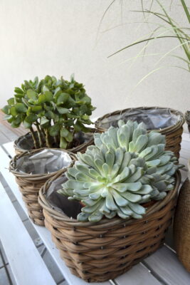 Portavasi Imitazione Iuta Corda Cemento Naturale Medium - Jolipa - immagine 5