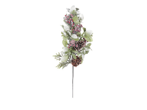 TRALCIO SALVIA-PIGNE-BACCHE VERDE/ROSSO – BRUCO