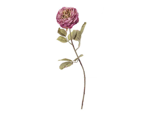 ROSA MARGARETH FINTO SECCO CM52 FUXIA