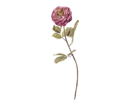ROSA MARGARETH FINTO SECCO CM52 FUXIA