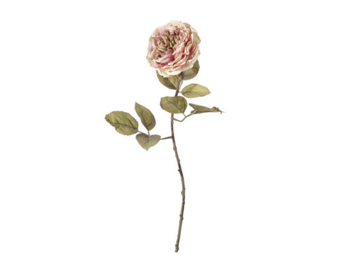ROSA MARGARETH FINTO SECCO CM52 ROSA