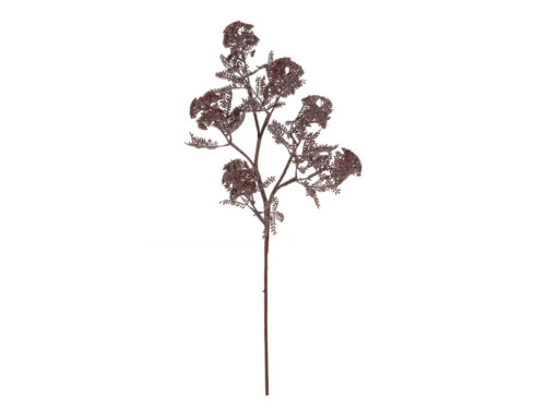 RAMO ACACIA CM80 MARRONE