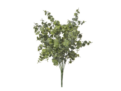 BUSH EUCALIPTUS VERDE