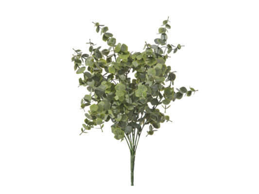BUSH EUCALIPTUS VERDE