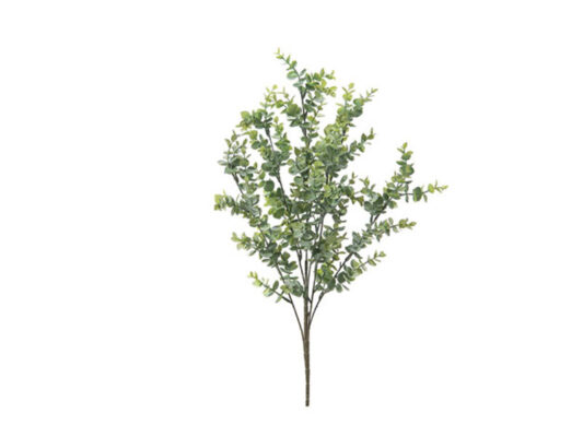 BUSH EUCALIPTUS VERDE CHIARO